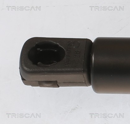 Triscan gasfeder kofferraum - gasfeder,
